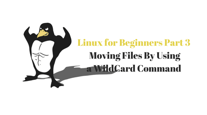 Linux For Beginners Part 3 Main Logo