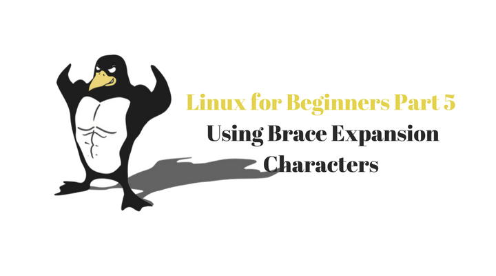 Linux for Beginners Part 5 (Using Metacharacters and Operators)