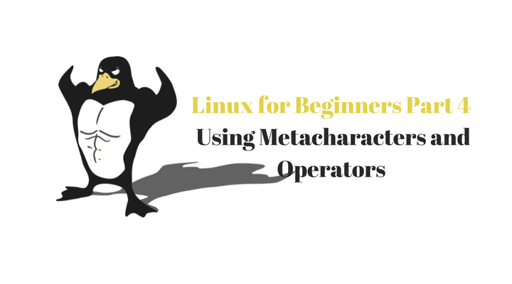 Linux for Beginners Part 4 (Using Metacharacters and Operators)