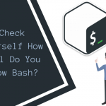 Check Yourself How Well Do You Know Bash Main Logo (1)